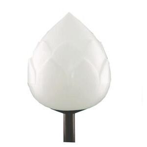 Den-hoa-sen-chieu-sang