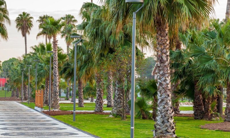 moon-star-chieu-sang-han-viet