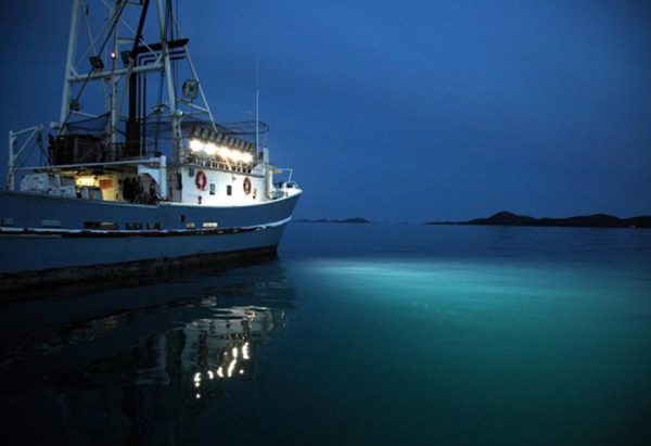 den-pha-led-tren-thuyen