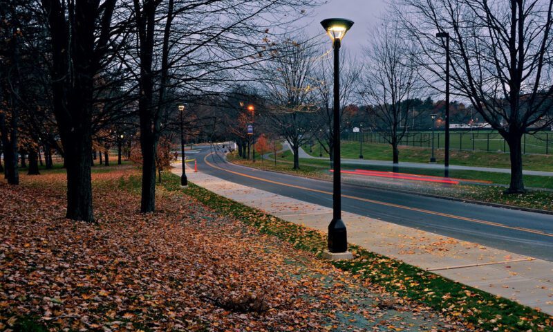 tru-den-tren-duong-di-cong-vien