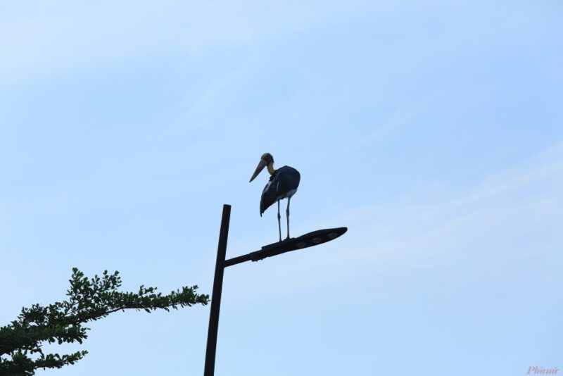 giai-phap-cho-den-led-chieu-sang-ngoai-troi